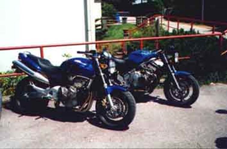 Honda Hornet und CB400
